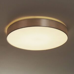 Aurelia - stmievateľná LED stropná lampa