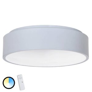 Sivé stropné LED Birte s diaľkovým ovládaním
