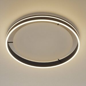 Paul Neuhaus Q-VITO stropné LED 59 cm