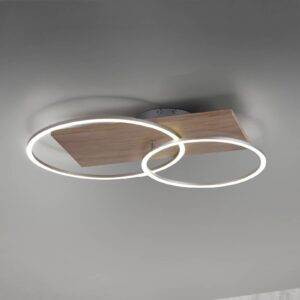 Paul Neuhaus Q-AMIRA stropné LED svietidlo