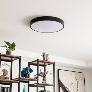 Lindby Smart LED stropné svietidlo Innes čierne 48cm RGB CCT Tuya
