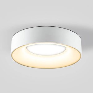 Stropné svietidlo Sauro LED